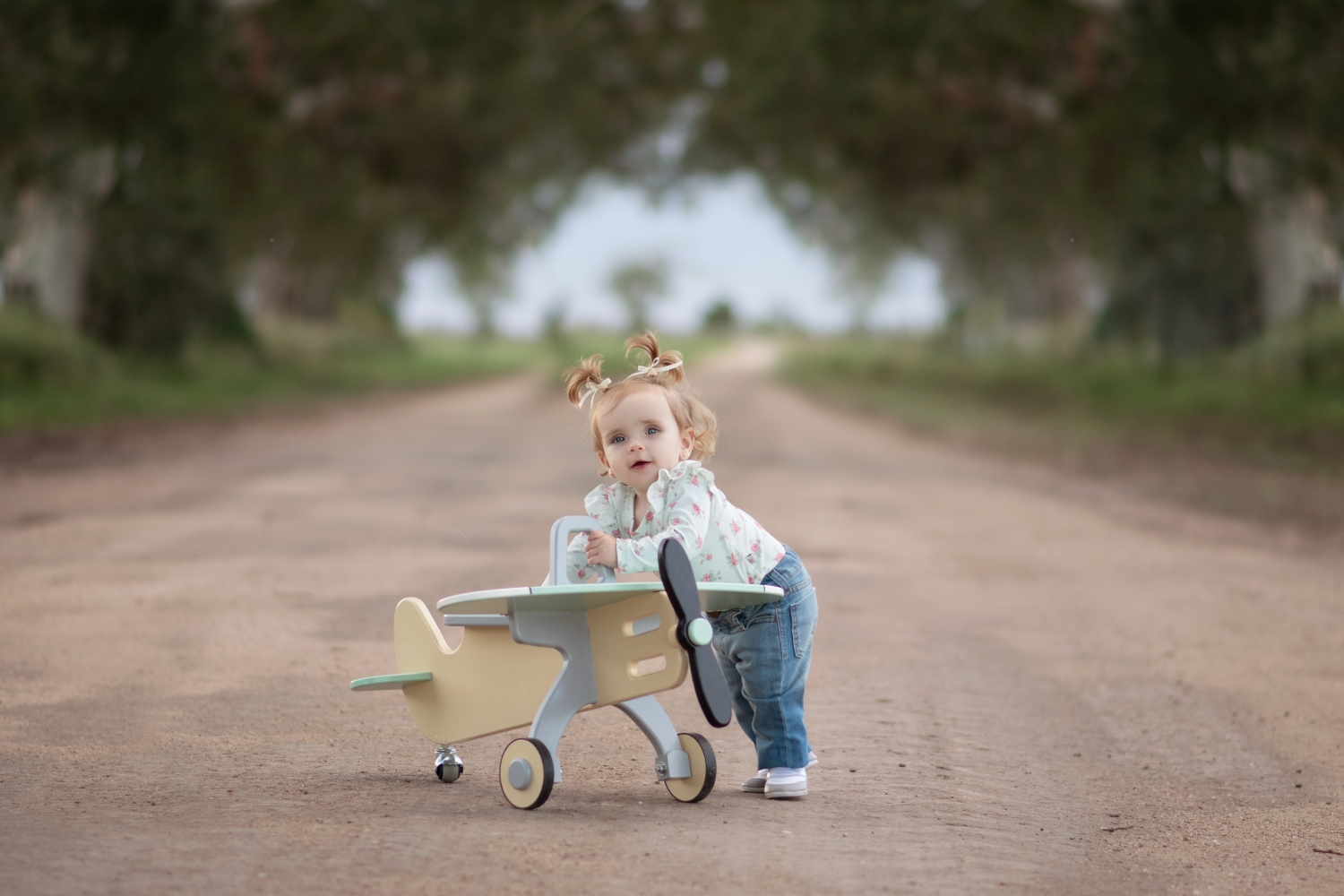 Juguete de madera con forma de avión variante 1